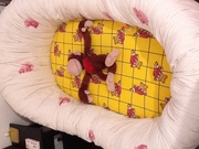 Кроватка-люлька от 0 до 18 месяцев