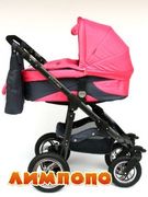 Androx Kinder Rich роза