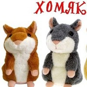 Ховорящий хомяк в Украине, Доставка новой почтой.