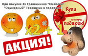 Акция на декоративный газон травянчик(смайлик)